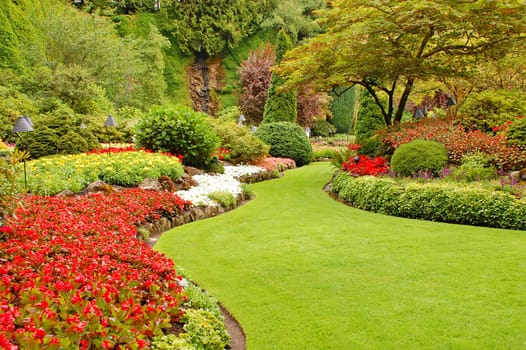 Colorful lush garden in summertime