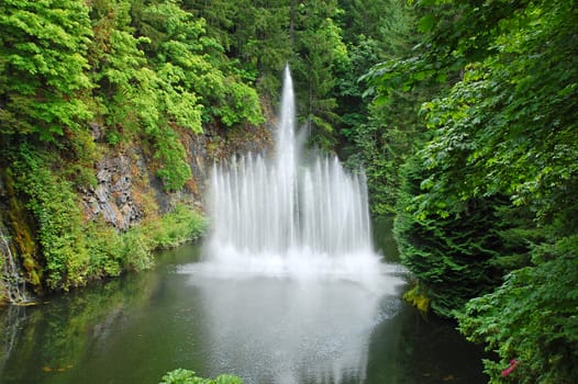 Spraying water fountain in lush green botanical park