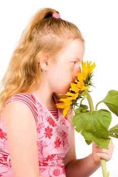 girl is smelling a big sunflower isolated on white
