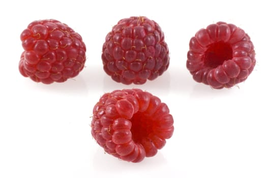 Four raspberries on white, one in the front and four in the back.