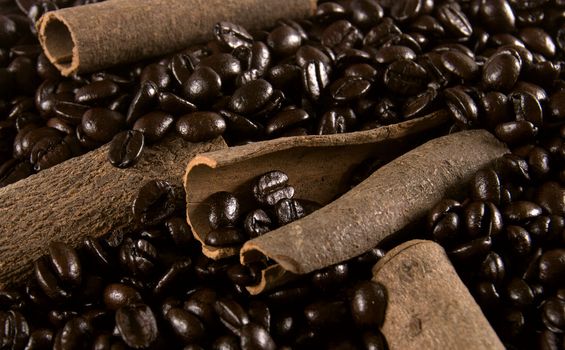 Natural cinnamon sticks in coffee beans
