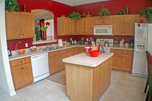 A modern Kitchen in a Florida Home.