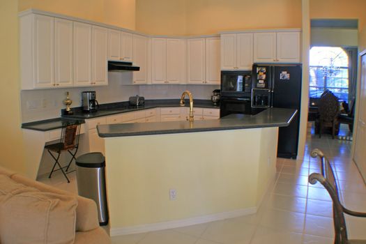 A modern kitchen in a Florida Home.