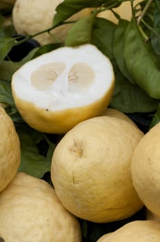 Citron is a fragrant citrus fruit, Citrus medica.