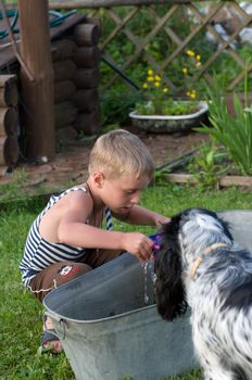 The child with a dog play to a basin with water