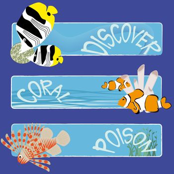 three tropical fish banners no text indicate sea world creatures
