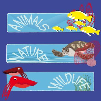 three tropical fish banners no text indicate sea world creatures
