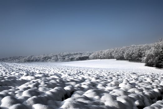 french snow landscape with fusion hdri 
