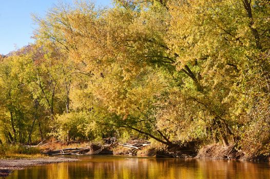 beautiful scene of missouri in autumn or fall