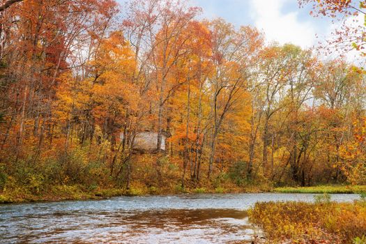 beautiful scene of missouri in autumn or fall