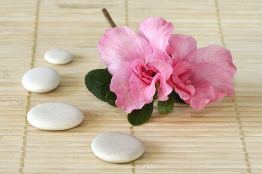 Pink azalea blossom with white stones on a bamboo mat