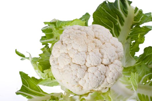 single cauliflower vegetable isolated on white