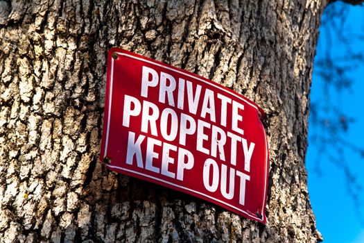red Keep Out sign nailed to tree trunk, a sliver of blue sky on right of frame