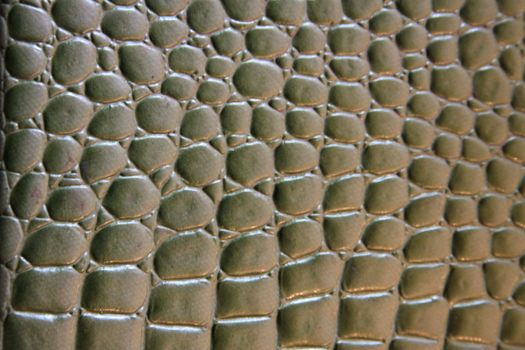 Close up of a Crocodile Leather.