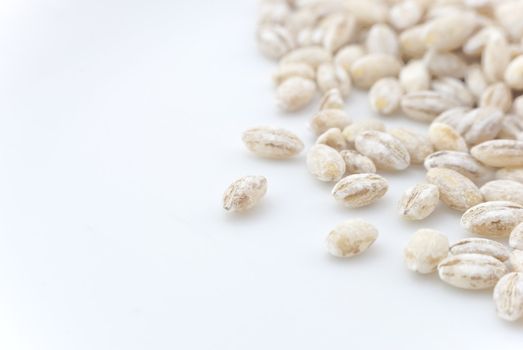 Close-up (macro) of barley grains scattered to the right side of frame, with white copy space to the left.