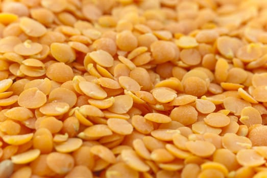 Macro (close-up) of red (orange) lentils, filling entire frame.