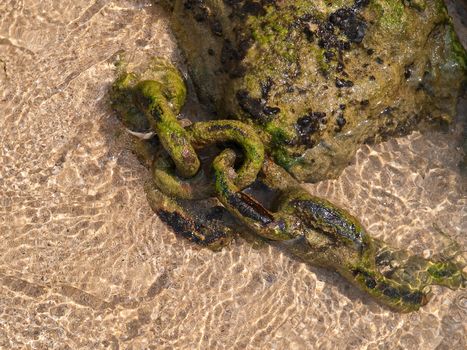 Old Iron Anchoring chain in deep rust condition sunk in sea water