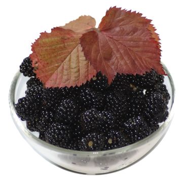 bowl with blackberry and red leaves on white background