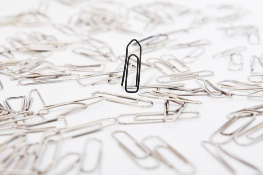 One black paperclip among many steel grey paperclips on white background