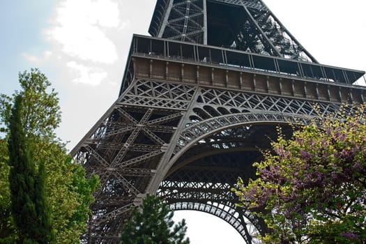 eiffel tower feet in vegetation (Paris France)