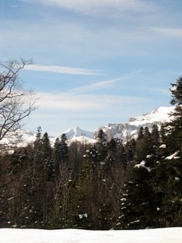 The main Caucasian ridge; rocks; a relief; a landscape; a hill; a panorama; high mountains; peaks; caucasus; top
