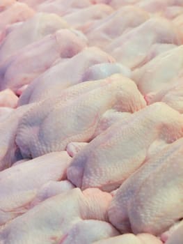 close up of raw fresh chicken