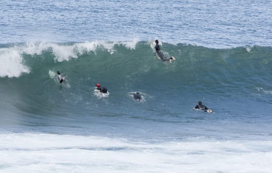 image of people practicing surf in the beach
