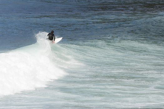 image of people practicing surf in the beach