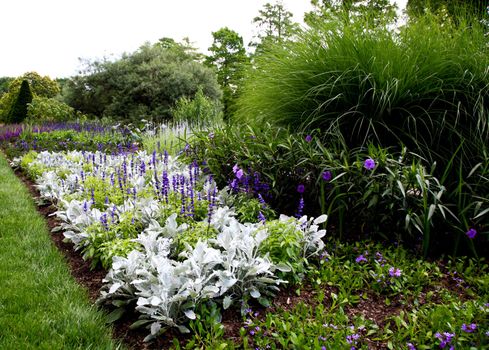 flowers displayed in a botanical garden USA