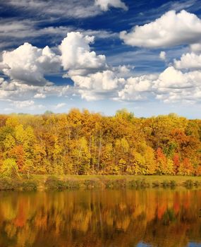 The foliage scenery from a highway overlook in New Jersey 