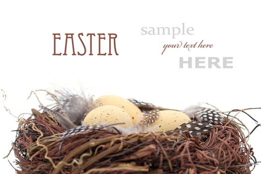 Birds nest with eggs (Easter composition). With sample text