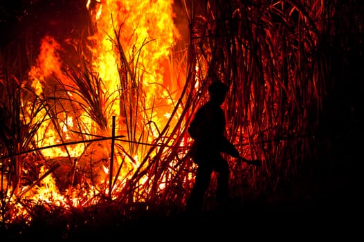 Big fire on the farmland