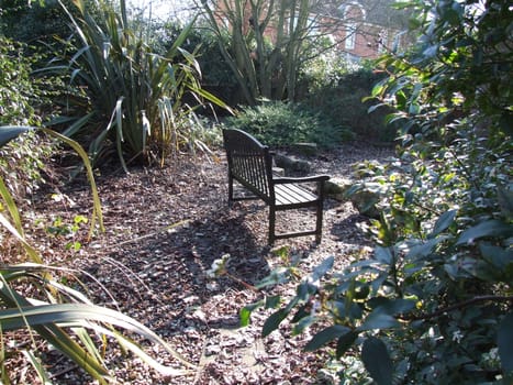 Garden Bench