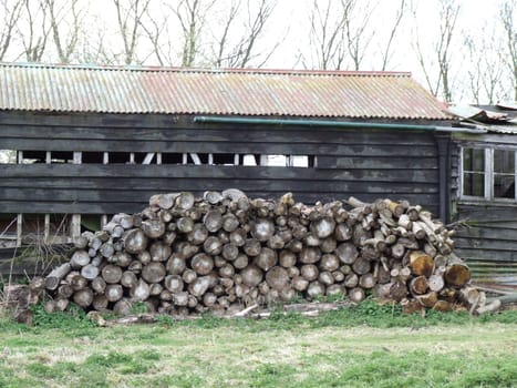 Old Building and Wood Supply