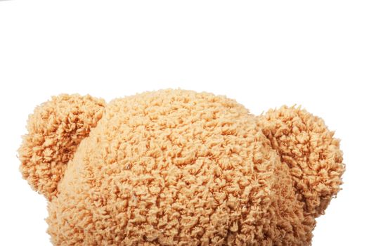 Head of fluffy teddy bear over white background