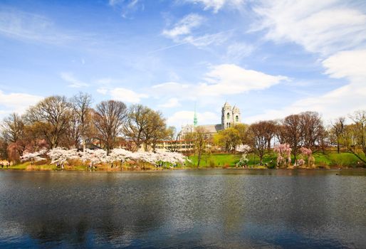 The Cherry Blossom Festival in Branch Brook Park New Jersey