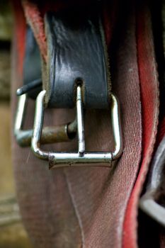 fastener of saddle. Part of horse Harness