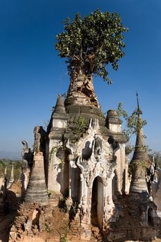 Overgrown pagoda ruins of Indein, Burma, Myanmar (also called Indiana Jones temples of Doom)