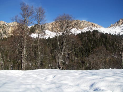 The main Caucasian ridge; rocks; a relief; a landscape; a hill; a panorama; high mountains; peaks; caucasus; top; a slope