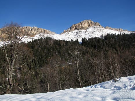 The main Caucasian ridge; rocks; a relief; a landscape; a hill; a panorama; high mountains; peaks; caucasus; top