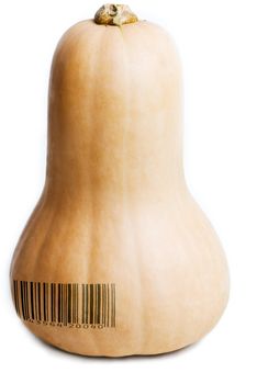 A single whole butternut pumpkin, isolated on white. A generic (not real) barcode printed on the Pumpkin.