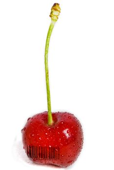 A single red cherry still on its stem covered with water droplets. A generic (not real) barcode printed on the cherry.