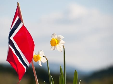 Norwegian flag with blue sky and flowers