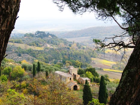 An abandoned Tuscan villa and the Tuscan countryside framed through pine trees.