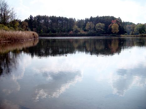 A landscape shot of a lake with trees on the far shore. To the left are rushes at the edge of the lake and the clouds above can be seen reflected in the still waters.