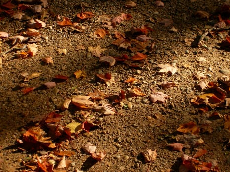 A background type photo of Fall leaves on the ground.