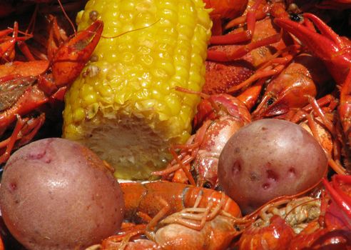 Crawfish potatoes, and corn cob spread out on table closeup.