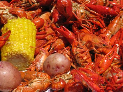 Crawfish potatoes, and corn cob spread out on table.