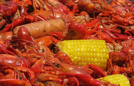Crawfish, corn and suasage spread out on table.