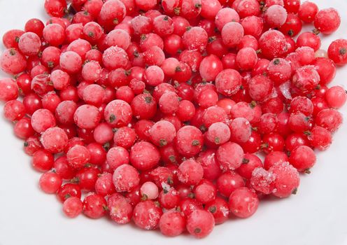 frozen red currant.useful berry, much vitamins